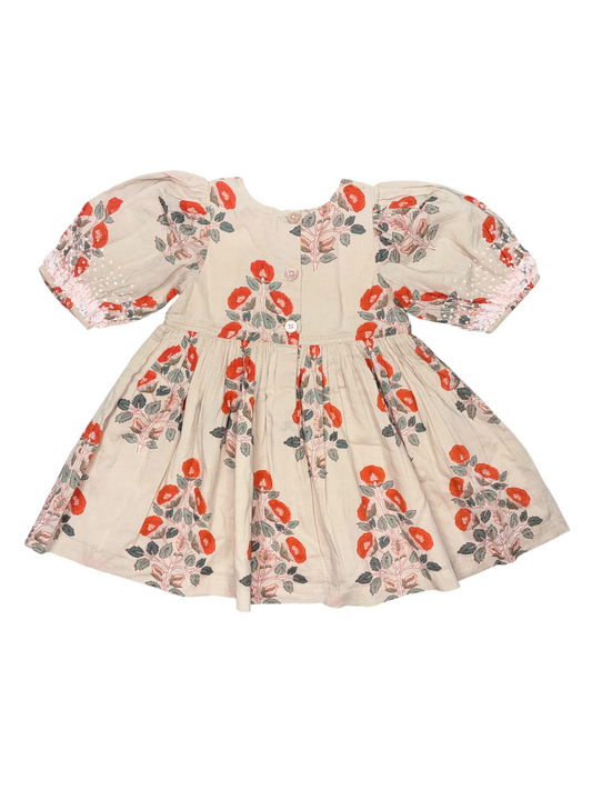 Pink Chicken Dress Size 2 New w/No Tag