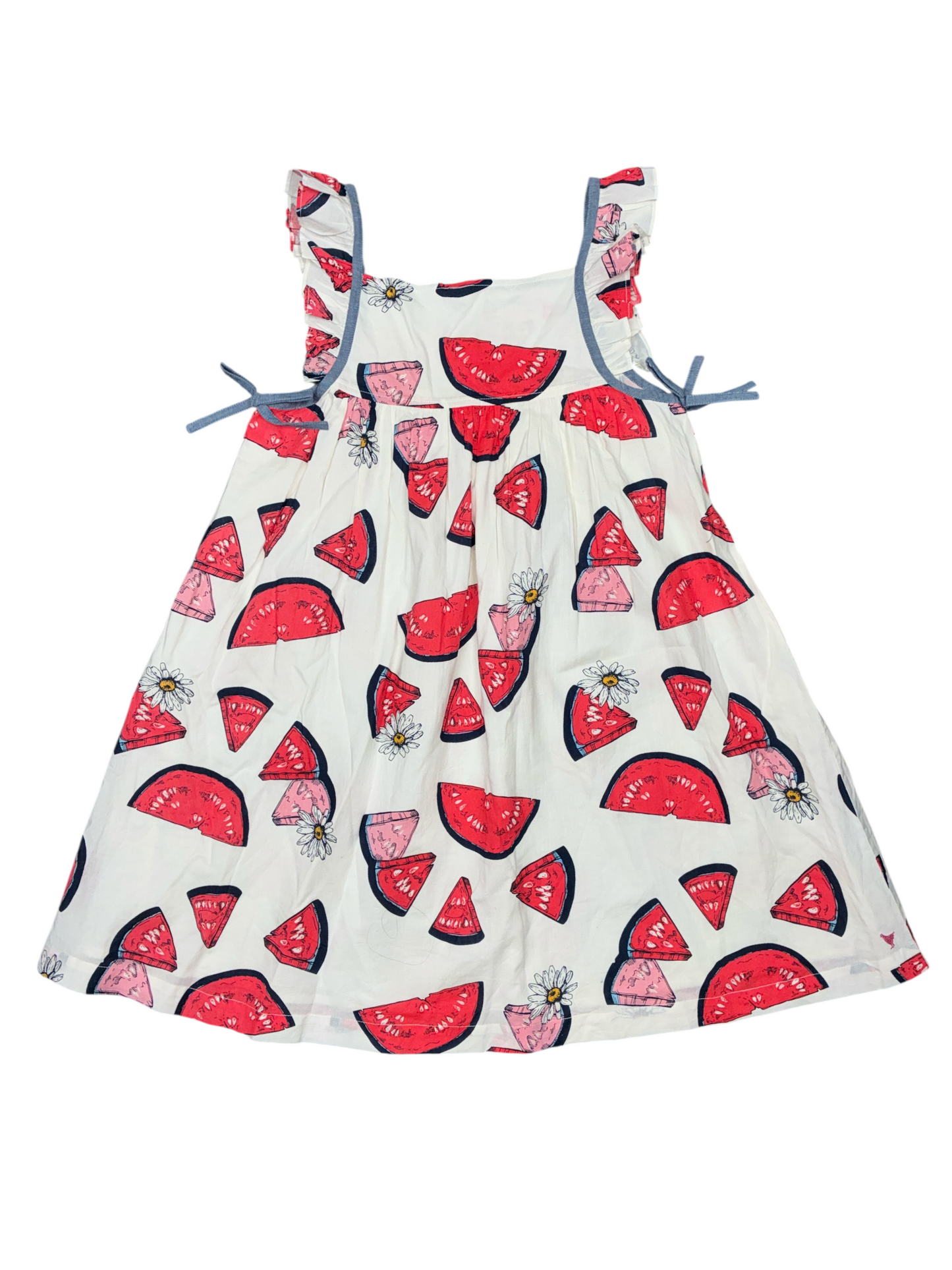 Pink Chicken Watermelon Dress Size 10 New w/No Tag