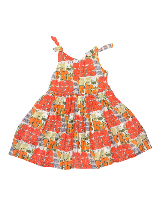 Pink Chicken Berries and Oranges Dress Size 6 New with No Tag