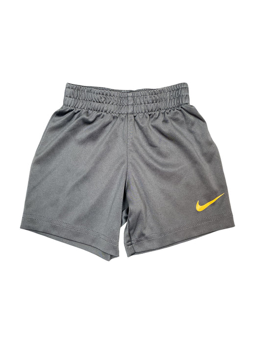 Nike Dri-Fit Shorts Size 2
