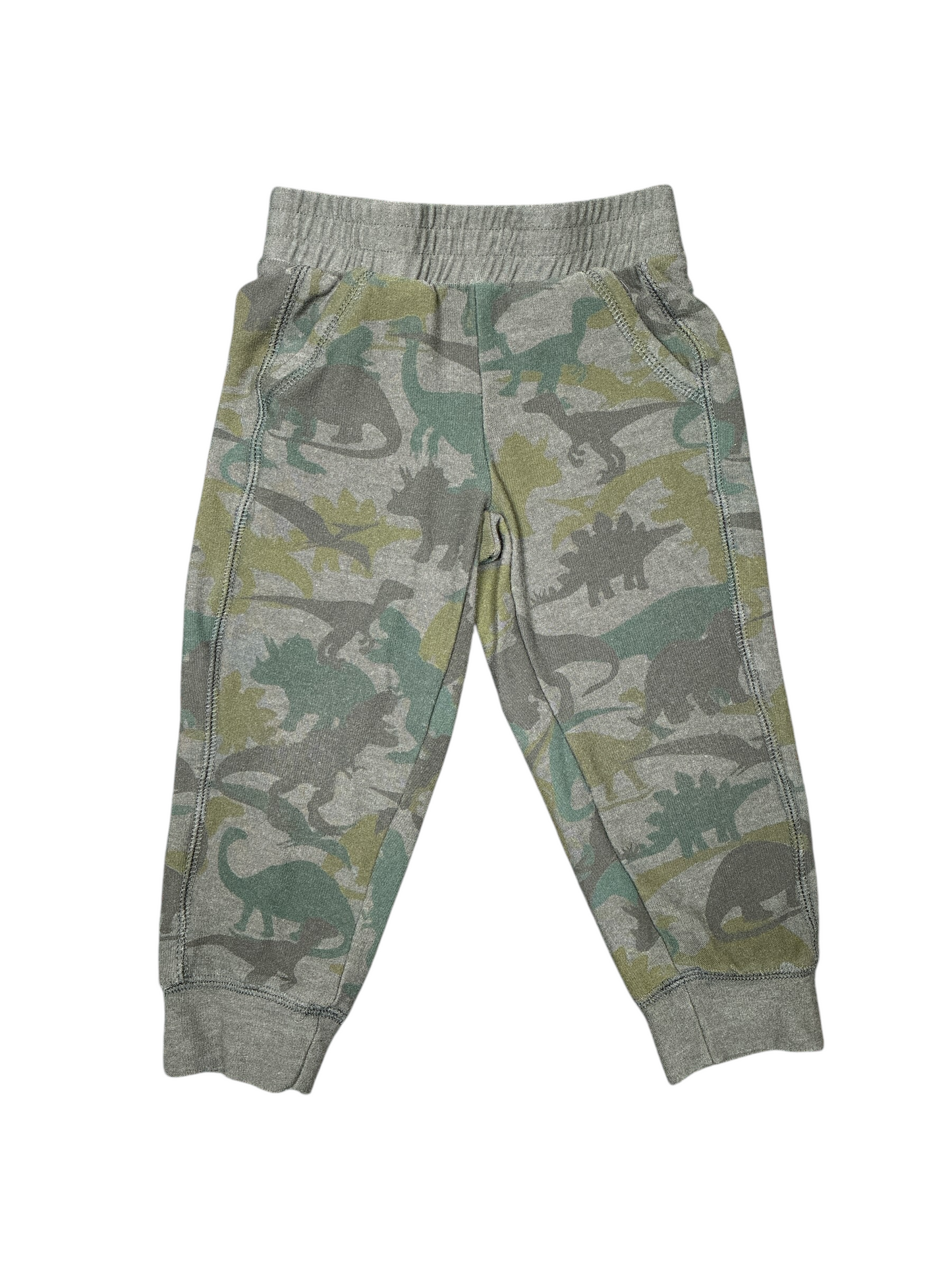 Chaser Dino Camo Pants Size 3
