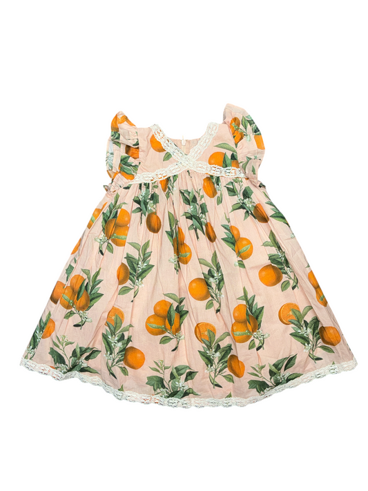 Pink Chicken - Botanical Oranges Dress Size 2 - New with No Tag