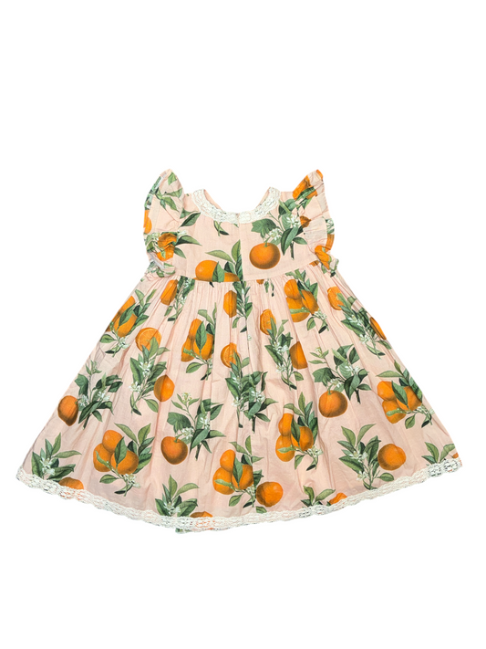 Pink Chicken - Botanical Oranges Dress Size 2 - New with No Tag