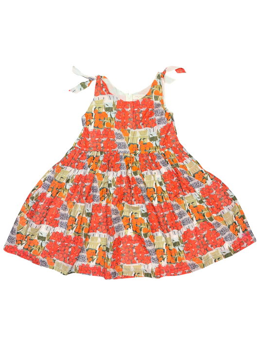 Pink Chicken Berries and Oranges Dress Size 6 New with No Tag