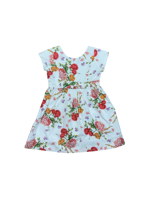 Baby CZ by Carolina Zapf Dress Size 4